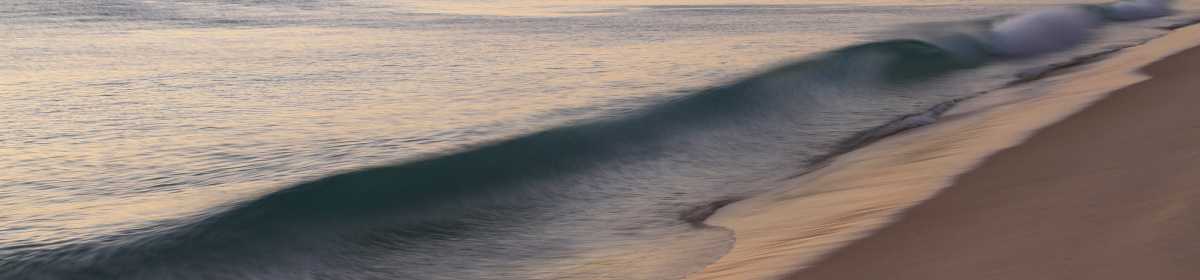 Out of the Shallows – Chapter&nbsp;1