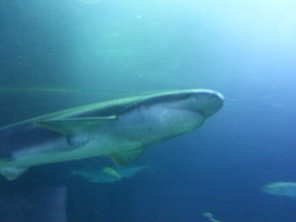 Everyone Is Not Your Friend (Leaving the Surface&nbsp;World)