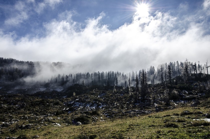 landscape-691326_1280