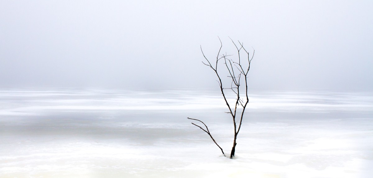 Dead Reckoning – Chapter&nbsp;40