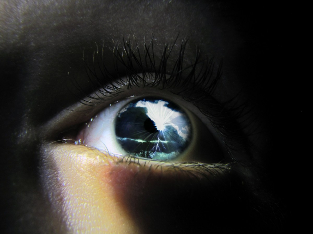 Double Sight – Chapter&nbsp;47