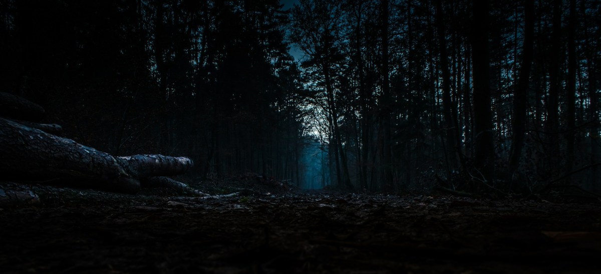 Down The Dark Road – Chapter&nbsp;66