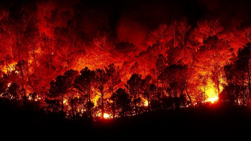 forest-fires-2930096_1280